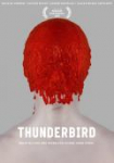Thunderbird - Schatten der Vergangenheit
